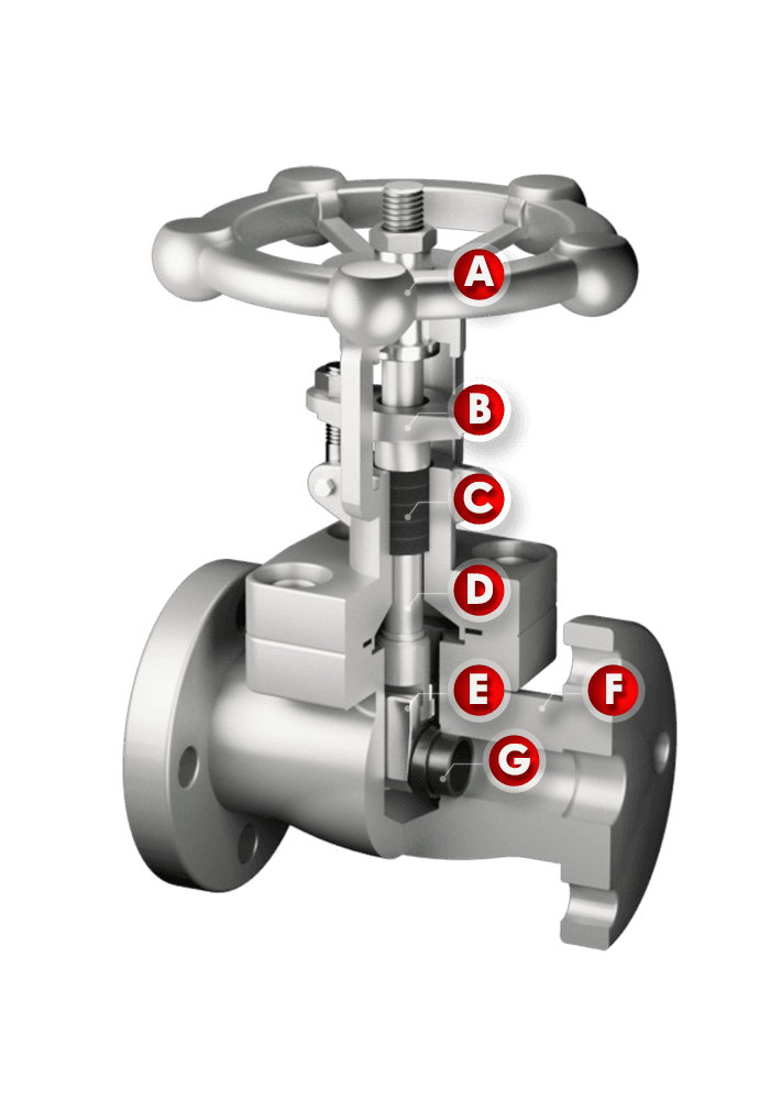 Flanged Forged Steel Gate Valve SG41-F