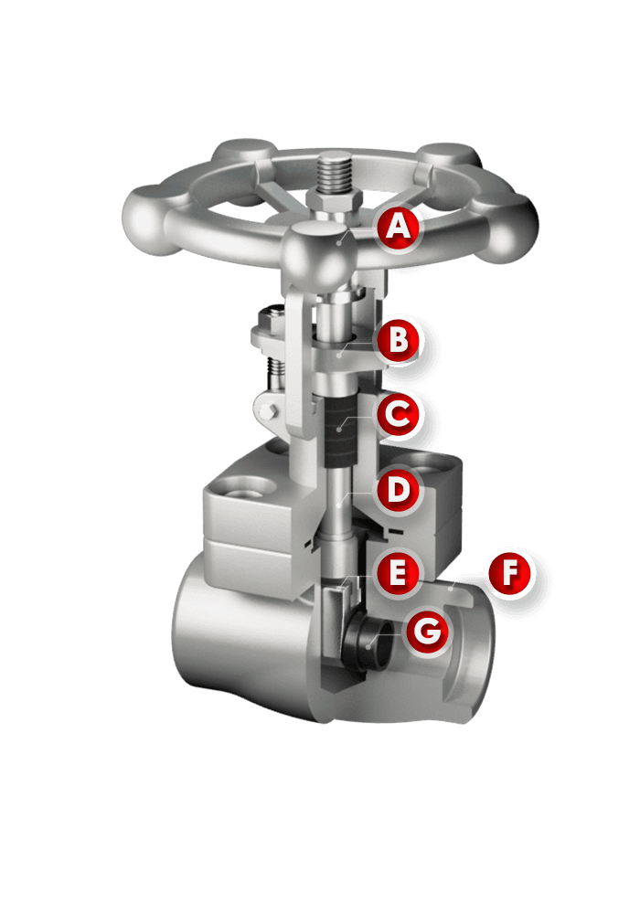 Welded Forged Steel Gate Valve SG61-F