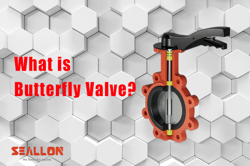 Research: Features and application of Butterfly Valves